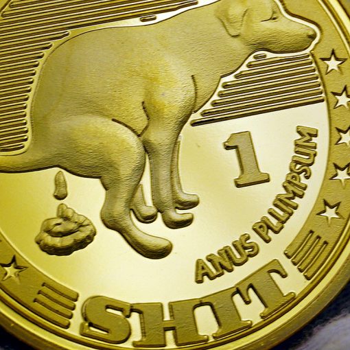 HOT One Shit Challenge Gold Plated Coin Dog ANUS PLLIMPSUM Commemorative Coins Lucky Gold Coin Beginner's Lucky Coin - Image 5