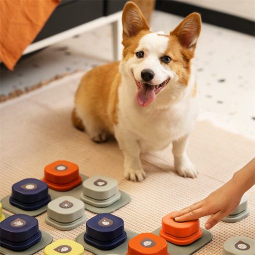 4 Colors Pet Communication Button One-click Prevent Physical Inactivity Recordable Dog Talking Button Toy Cat Toy Pet Products - Image 6