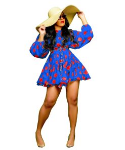 Women Long Sleeve Dresses Chiffon Bodycon