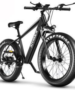 Electric Bicycle