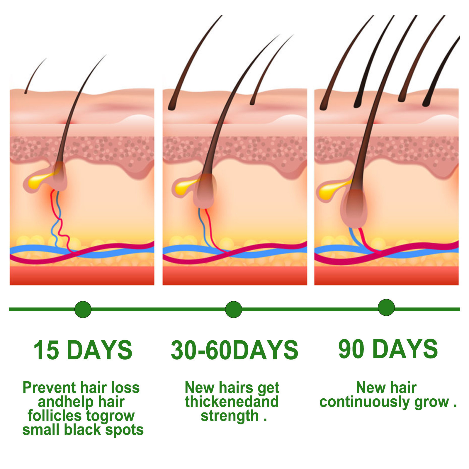 Rosemary Hair Growth - Image 9